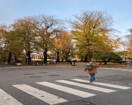 Active man walking happily in an urban park